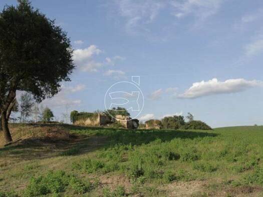 Einfamilienhaus zum Kauf 3 Zimmer 1.150 m² 20.000 m² Grundstück Asciano