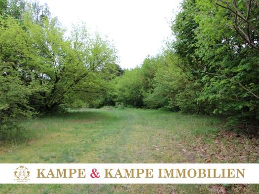 Grundstück zum Kauf 680.000 € 5.000 m² Grundstück Wernsdorf Königs Wusterhausen 15713