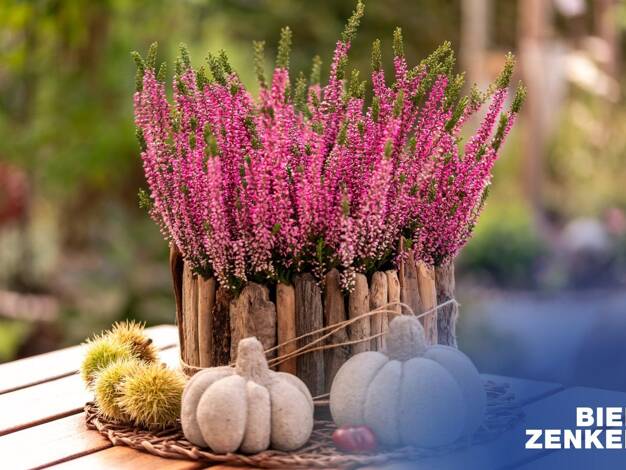 Haus zum Kauf provisionsfrei 599.815 € 4 Zimmer 143 m² 517 m² Grundstück Ettersdorf Montabaur 55410