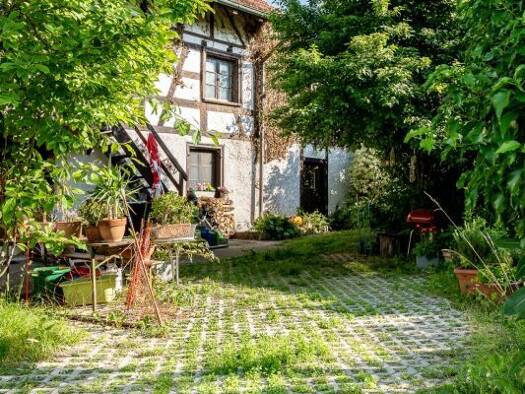 Wohnung zur Miete 820 CHF 1,5 Zimmer 45 m² frei ab sofort Büsingen am Hochrhein 78266