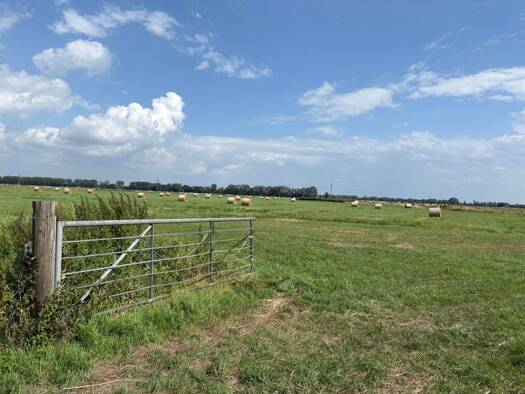 Land-/Forstwirtschaft zum Kauf 412.589 € 191.902 m² Grundstück Oberhammelwarden Elsfleth 26931