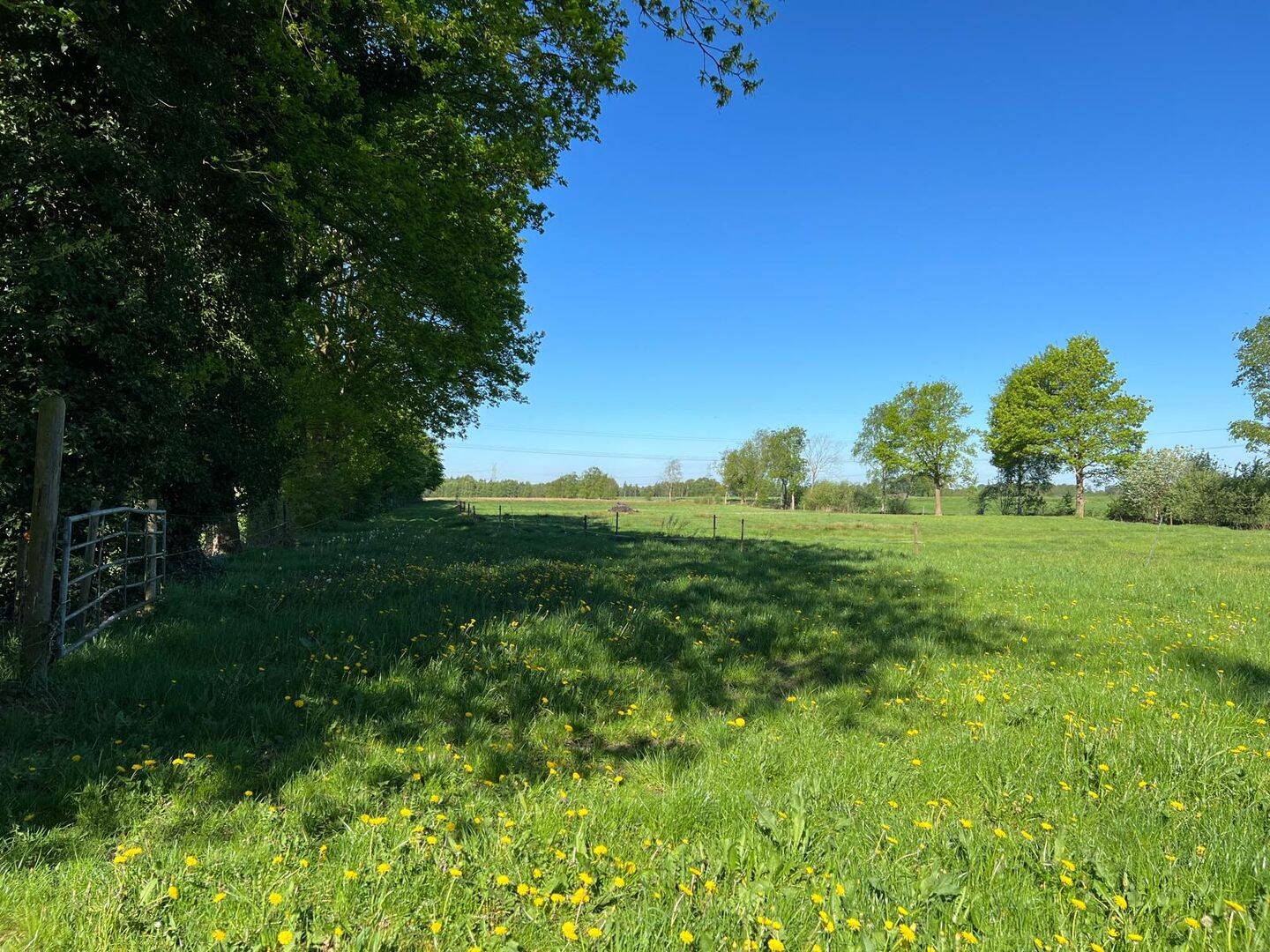 Land-/Forstwirtschaft zum Kauf - Ansicht 2