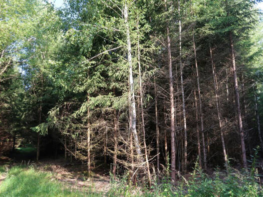 Land-/Forstwirtschaft zum Kauf 110.000 € 19.325 m² Grundstück Adlberg Inning a.Holz-Adlberg 84416