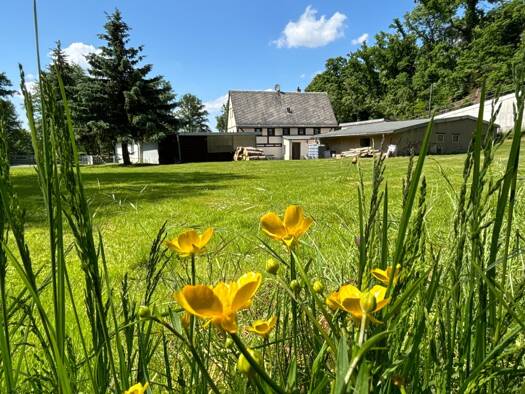 Einfamilienhaus zum Kauf 163.000 € 5 Zimmer 138 m² 2.871 m² Grundstück Podelwitz Colditz 04680