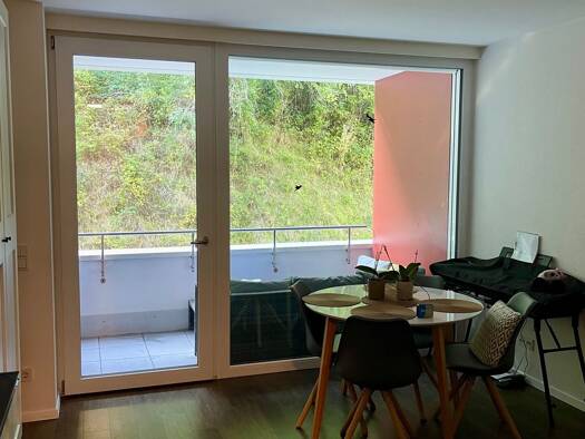 Wohnung zur Miete 460 € 1 Zimmer 30 m² Geschoss 2/4 frei ab 05.10.2026 Innstraße 80 Haidenhof-Süd Passau 94036