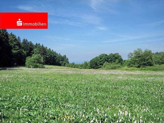 Grundstück zum Kauf 500.000 € 365 m² Grundstück frei ab sofort Offenbach am Main Offenbach am Main 63069