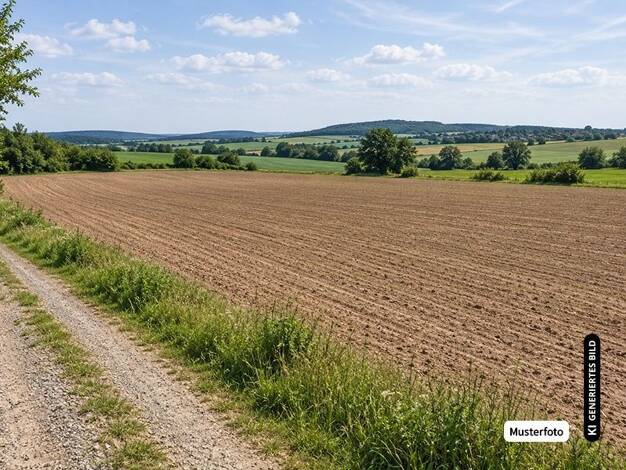 Land-/Forstwirtschaft zum Kauf provisionsfrei 6.200 € 1.543 m² Grundstück Lipburg Badenweiler 00000