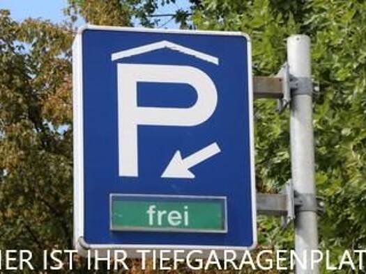 Tiefgaragenstellplatz zur Miete 91,66 € Perfektastraße Wien 1230