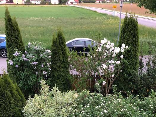 Wohnung zur Miete 1.050 € 3 Zimmer 65 m² Geschoss 1/2 frei ab sofort Babenried Landsberied 82290