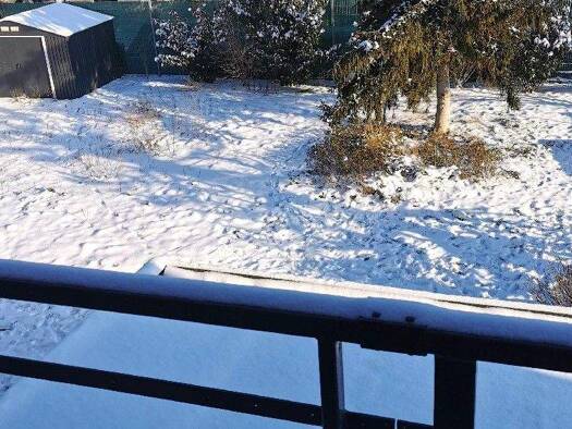 Einfamilienhaus zum Kauf provisionsfrei 888.000 € 9 Zimmer 310 m² 1.023 m² Grundstück Kirrlach Waghäusel 68753