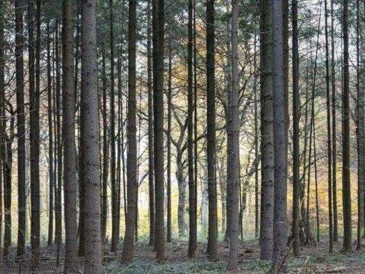 Grundstück zum Kauf 160.000 € 16.000 m² Grundstück Reichertshausen 85293