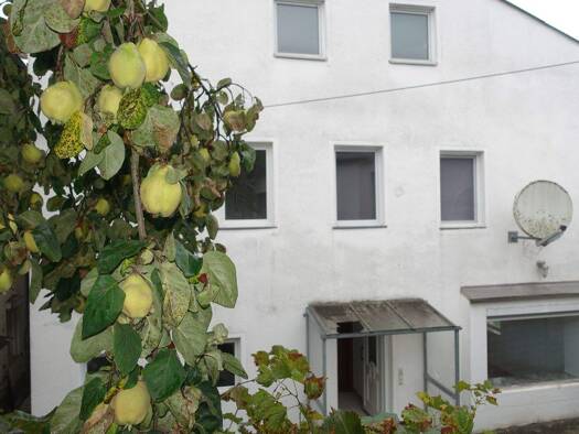 Mehrfamilienhaus zum Kauf 380.000 € 8 Zimmer 153 m² 599 m² Grundstück Buchbach 84428