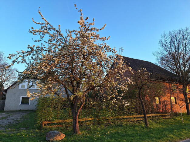 Haus zum Kauf provisionsfrei 260.000 € 9 Zimmer 245 m² 13.700 m² Grundstück Glüsingen Wittingen 29378