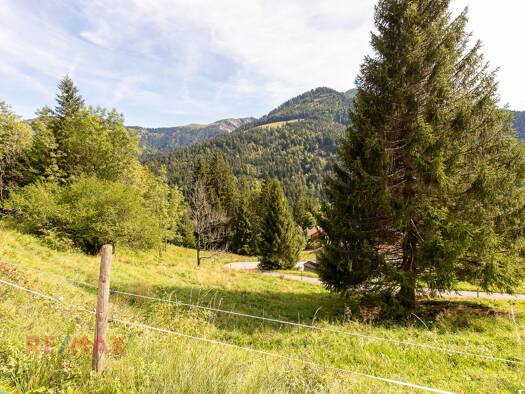 Grundstück zum Kauf 950 m² Grundstück Ebnit Dornbirn / Ebnit 6850