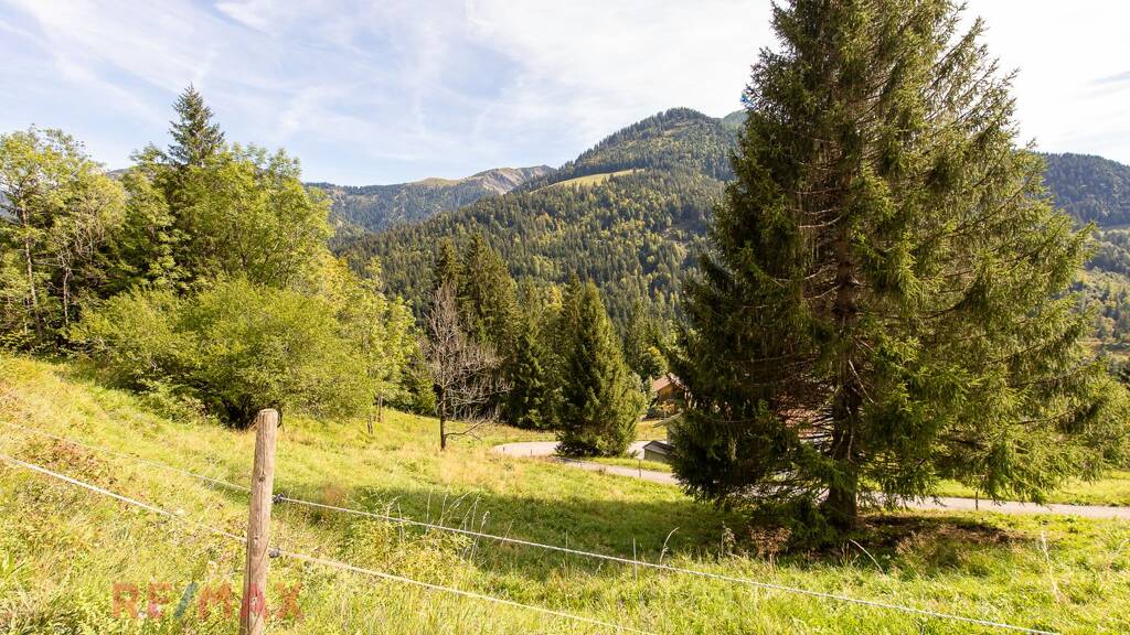 Grundstück zum Kauf 950 m² Grundstück Ebnit Dornbirn / Ebnit 6850