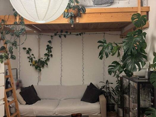 Wohnung zur Miete 302 € 1 Zimmer 27,8 m² 4 Geschosse frei ab 01.03.2026 Südstraße 3 Stadtmitte Krefeld 47798