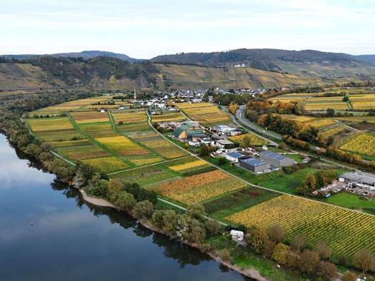 Gewerbegrundstück zum Kauf 99.000 € 4.220 m² Grundstück Pünderich 56862