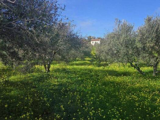 Grundstück zum Kauf 70.000 € 1.498 m² Grundstück Sivas 702 00