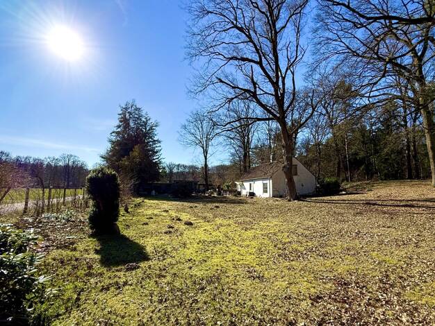 Land-/Forstwirtschaft zum Kauf 159.000 € 5.000 m² Grundstück Halen Lotte 49504