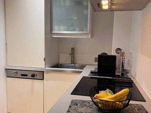 Wohnung zur Miete 700 € 1 Zimmer 25 m² 2. Geschoss frei ab 27.01.2026 Erzherzog-Eugen-Straße 19 Itzling Salzburg 5020