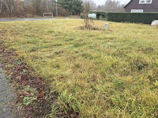 Grundstück zum Kauf 65.000 € 627 m² Grundstück Friedersdorf Muldestausee 06774