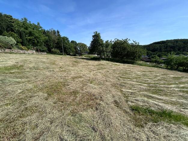 Grundstück zum Kauf 66.000 € 880 m² Grundstück Oberhosenbach 55758