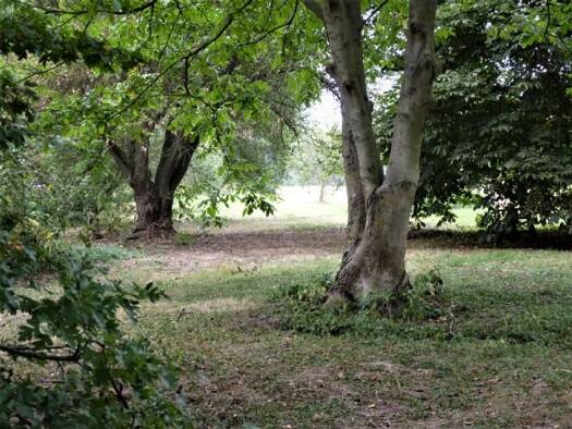 Haus zum Kauf 1.250.000 € 6 Zimmer 220 m² 14.732 m² Grundstück Grefrath Neuss 41472