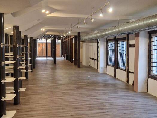 Bürofläche zur Miete provisionsfrei 10 € 200 m² Bürofläche Altstadt Celle 29221