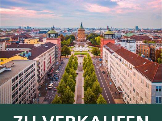 Mehrfamilienhaus zum Kauf 38 Zimmer 955 m² 329 m² Grundstück Rheinau Mannheim / Rheinau 68219