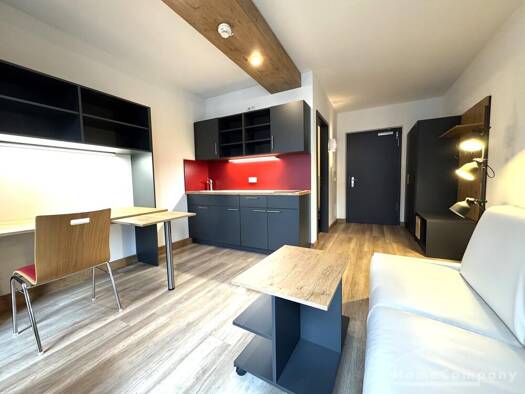 Wohnung zur Miete Wohnen auf Zeit 900 € 1 Zimmer 24 m² frei ab sofort Seevorstadt-Ost/Großer Garten Dresden 01069