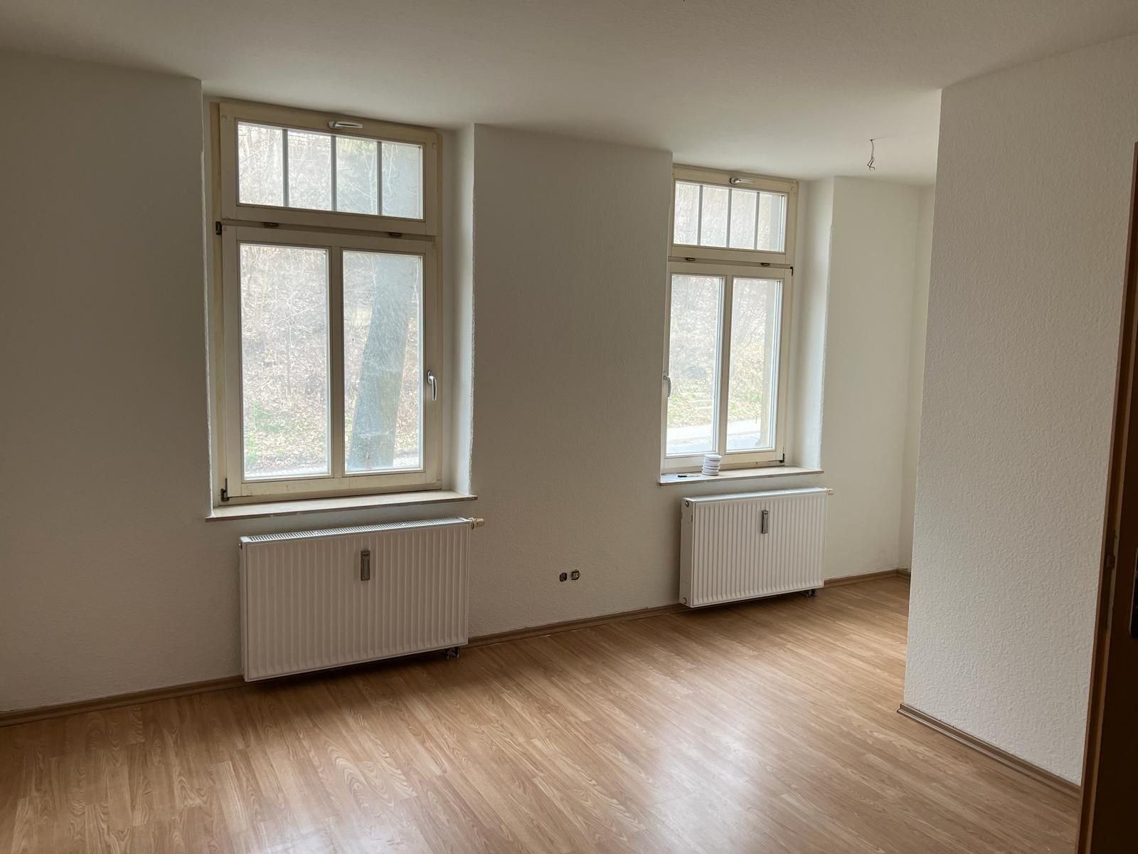 Wohnung zur Miete 216 € 2 Zimmer 45 m²<br/>Wohnfläche EG<br/>Geschoss ab sofort<br/>Verfügbarkeit Auerbach Auerbach 08209