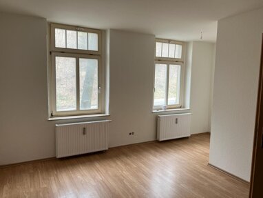 Wohnung zur Miete 216 € 2 Zimmer 45 m² EG frei ab sofort Auerbach Auerbach 08209