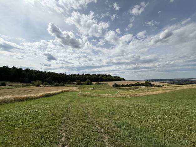 Land-/Forstwirtschaft zum Kauf 10.176 m² Grundstück Gottfrieding Gottfrieding