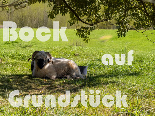 Grundstück zum Kauf 39.000 € 1.100 m² Grundstück Wehrsdorf Sohland an der Spree / Wehrsdorf 02689