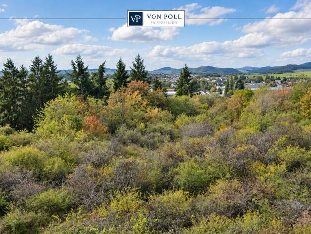 Land-/Forstwirtschaft zum Kauf 95.000 € 7.505 m² Grundstück Medebach Medebach 59964
