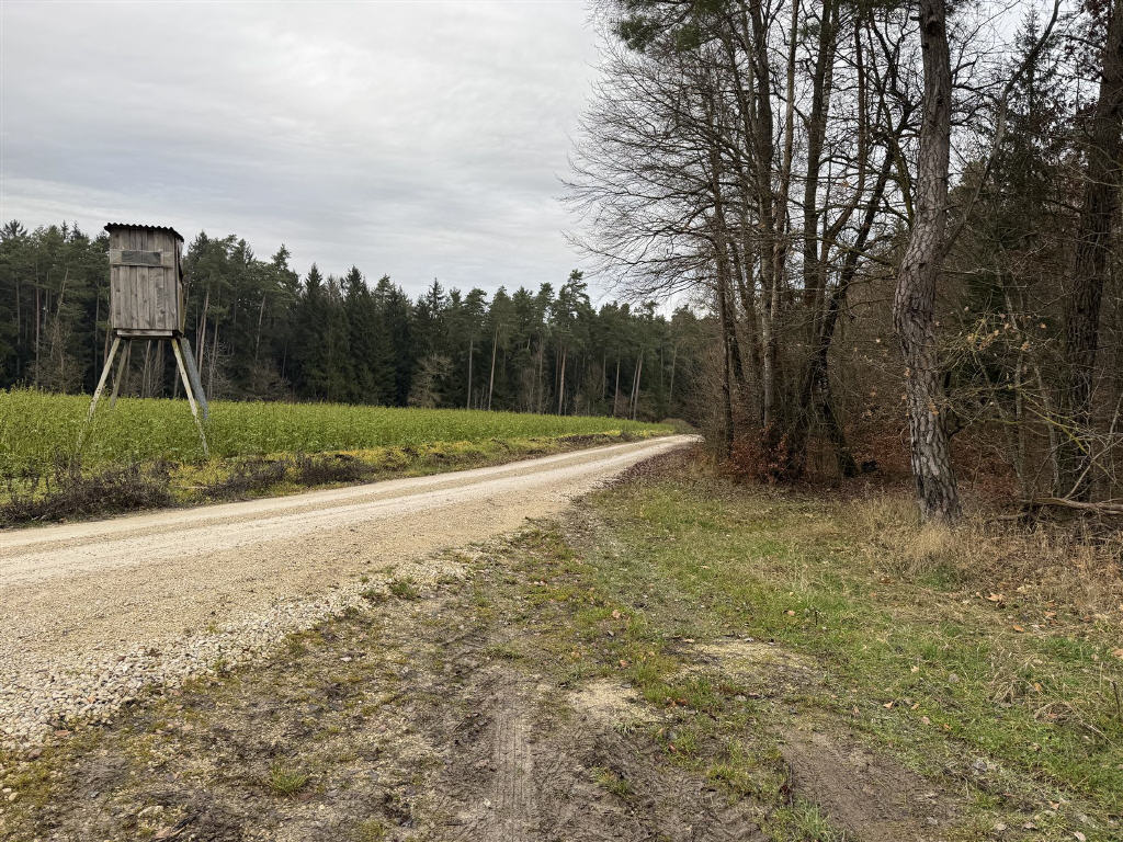 Land-/Forstwirtschaft zum Kauf 1.000.000 € 171.113 m²<br/>Grundstück Schmidmühlen Schmidmühlen-Galching/Windbuch 92287