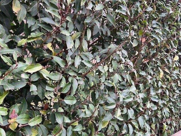 Grundstück zum Kauf provisionsfrei 700 m² Grundstück Sulzbach Sulzbach am Main 63834