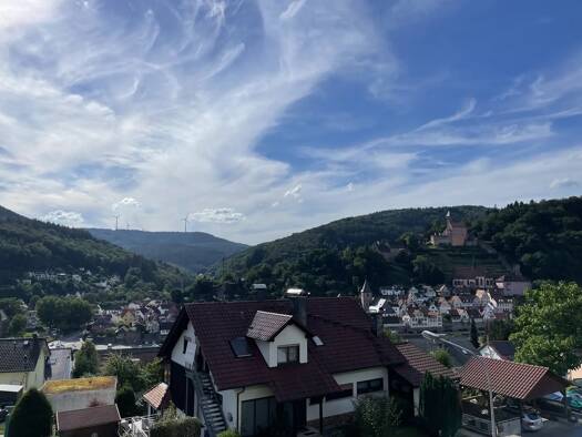 Haus zur Miete 1.000 € 8 Zimmer 230 m² 795 m² Grundstück Schönbrunner Straße 32 Hirschhorn 69434