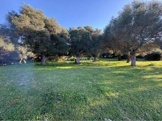 Acker-/Waldstück zum Kauf 990.000 € Barbate 11159
