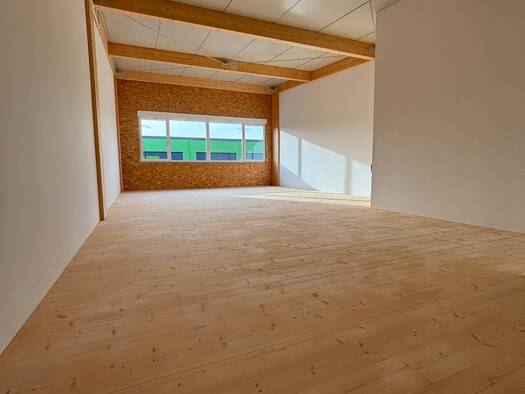 Bürofläche zum Kauf - Erstbezug provisionsfrei 298.000 € 171 m² Bürofläche Bietingen Gottmadingen 78244