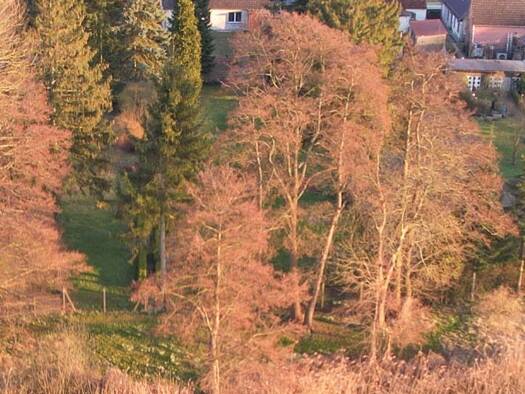 Haus zum Kauf 350.000 € 150 m² Naugarten Gollmitz Nordwestuckermark 17291