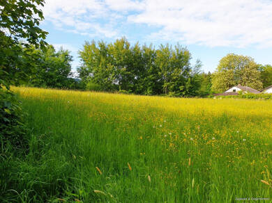 Grundstück zum Kauf 377.000 € 1.508 m² Grundstück Metten 94526 Metten - Lehmberg 94526