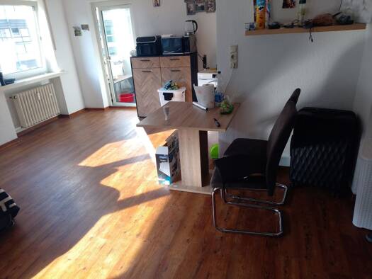 Wohnung zur Miete 459 € 1 Zimmer 42 m² frei ab sofort Mitte Ludwigshafen am Rhein 67059