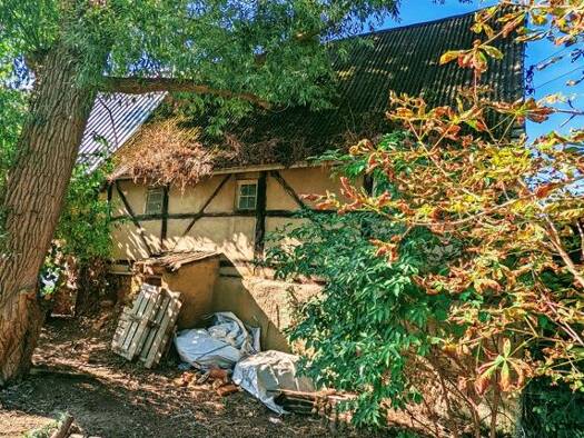 Haus zur Miete 290 € 6 Zimmer 123 m² 360 m² Grundstück Zschochau Ostrau 04749