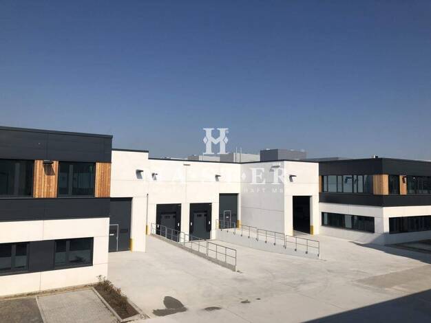 Lagerhalle zur Miete provisionsfrei 2.000 m² Lagerfläche teilbar ab 2.000 m² Buchschlag Dreieich 63303