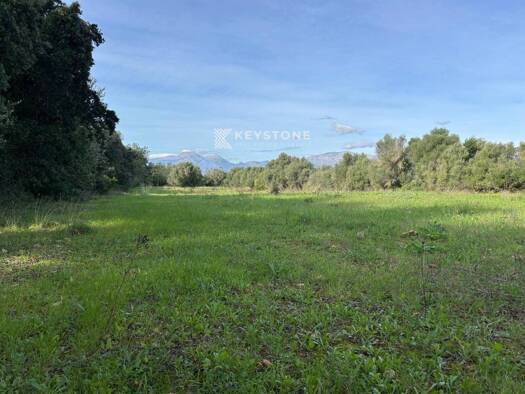 Acker-/Waldstück zum Kauf 250.000 € Muro 07440