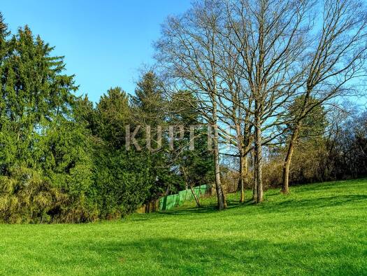 Grundstück zum Kauf 650.000 € 1.581 m² Grundstück frei ab sofort Forchheim 91301