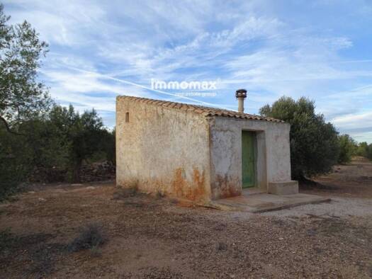 Acker-/Waldstück zum Kauf 59.000 € Xerta 43592