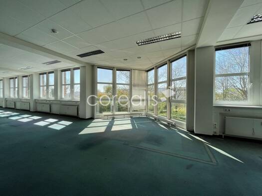 Bürofläche zur Miete provisionsfrei 13,50 € 150 m² Bürofläche Osterath Meerbusch 40670