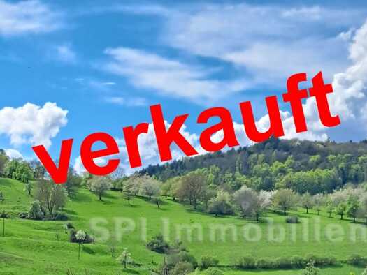 Einfamilienhaus zum Kauf 1.250.000 € 7 Zimmer 291,5 m² 689 m² Grundstück Singen Singen (Hohentwiel) 78224